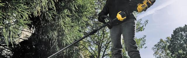 6 Of The Top DeWalt Summer Items You Can Buy