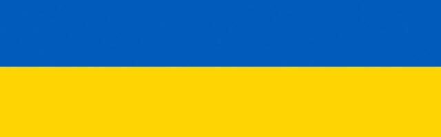 By helping displaced Ukrainians learn a new language, Berlin's Babel has taken its chance to make a difference