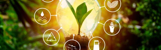 Berlin-based Trawa scores €2.4 million to fuel a sustainable energy transition