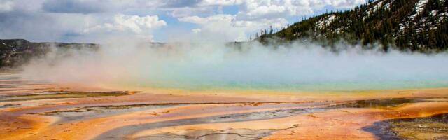 These Newly Discovered Cells Breathe in Two Ways