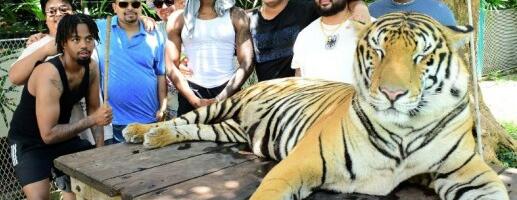 Feds: Barbershop owner led California-based laundering cell in $40 million elder fraud scheme