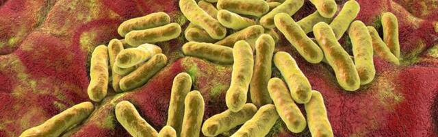 Как азелаиновая кислота убирает пятна с кожи (коротко — довольно хитро)