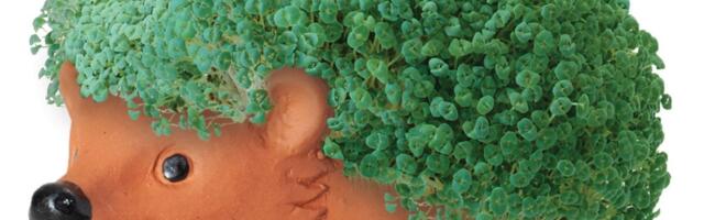 They’re Making a Movie About What?!?!