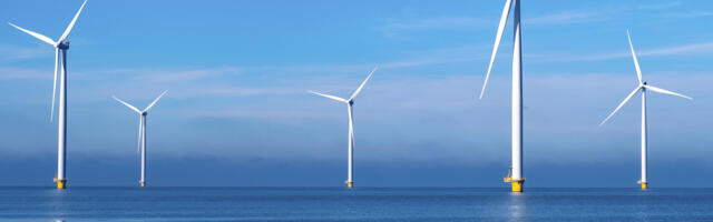 The Netherlands' Offshore Wind Farms Are Doing A Lot More Than Generating Electricity