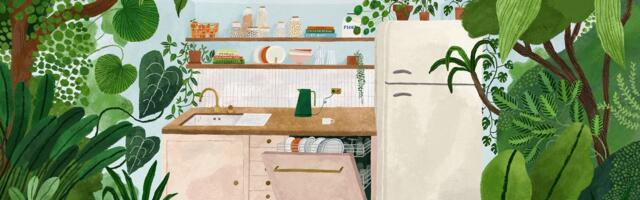 Our appliances are more efficient than ever. Why doesn’t it feel like it?