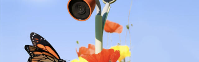 Bird Buddy’s new camera tracks plants and insects in your garden