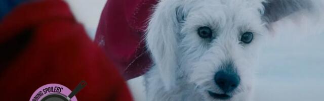 There’ll Be No Dog Punching In ‘Superman’
