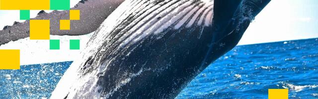 Why Some Bitcoin Whales Are Converting Their BTC Into Spot ETF Shares: Bloomberg