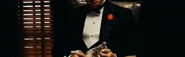 Создаем фейковую стратегию организации по инструкции