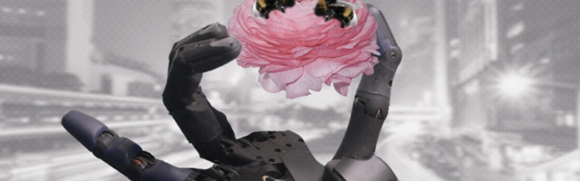 Is there a more environmentally friendly way to train AI?