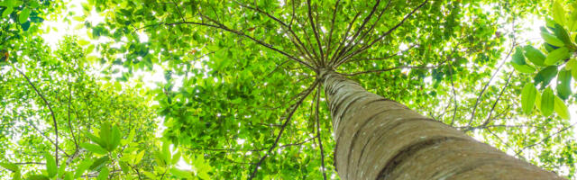 Carbon removal platform from Onfido co-founder scores £19m
