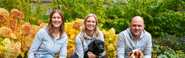 Stockholm-based Lassie ropes in €23M to provide bespoke insurance products and coaching for cat and dog owners