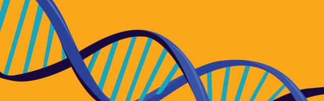 Why Ancestry Is the Best DNA Test Kit in 2025