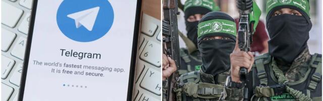 Hamas Telegram channel has grown three times after attack on Israel. CEO explains why and how