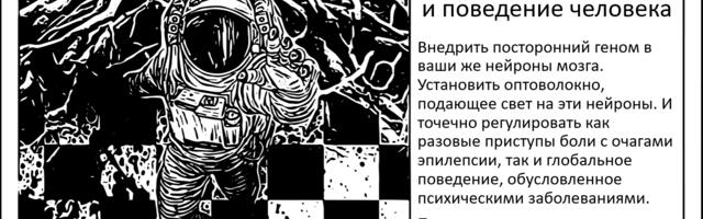 Потенциал оптогенетики в применении на людях. Возможности, риски и как именно можно использовать технологию?