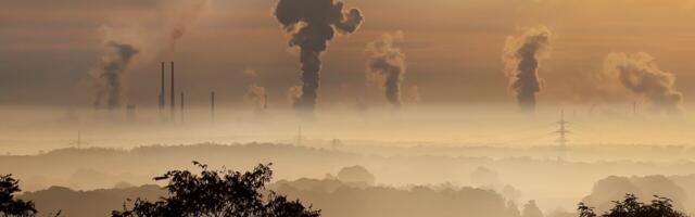 World’s largest carbon capture plant is UK’s ‘next big white elephant’