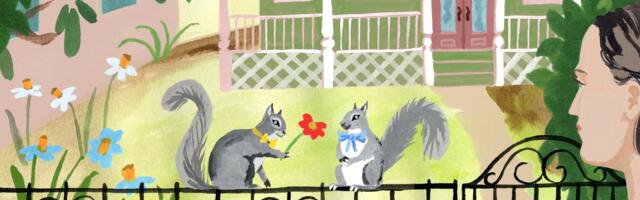 The unexpected joy of the Squirrel Census