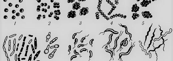 Устойчивые режимы поведения вместо плотности: динамический взгляд на кластеризацию