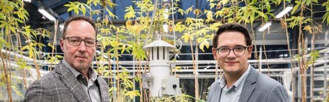 BiocSol secures €5.2M Seed funding for microbial pesticides