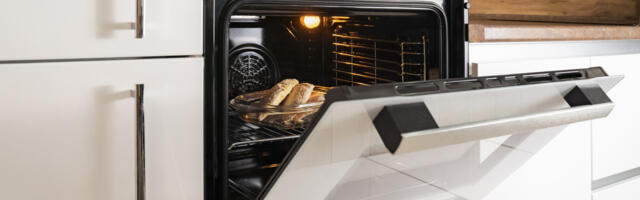 No, You Shouldn't Use A Regular Light Bulb In An Oven - Here's Why