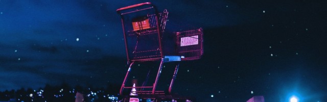 How much is too much when investing in grocery delivery?