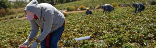 Walters: California labor laws’ unintended consequences