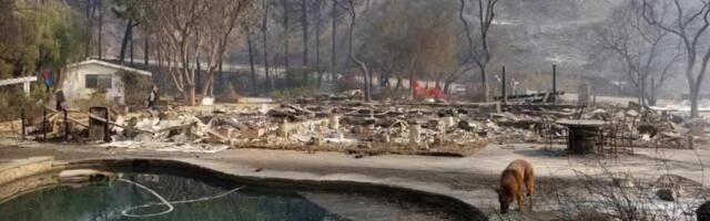 2 California wildfire victims explain why they wouldn't rebuild again