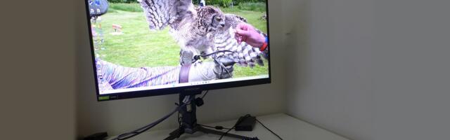 Acer Predator XB273U F5 27-inch QHD 360 Hz gaming monitor review: Utilizing G-Sync Pulsar to deliver phenomenal blur reduction