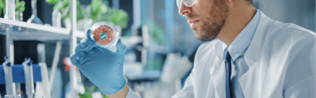 Synthesis Capital raises £238m fund to back foodtech startups