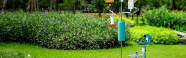 Review: Bird Buddy's Hummingbird Feeder and Accessories Put Nature at Your Fingertips