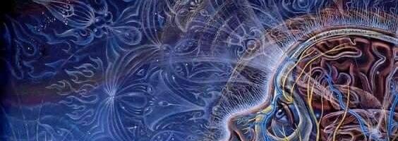 Поиск статистически значимых подтверждений силы намерения