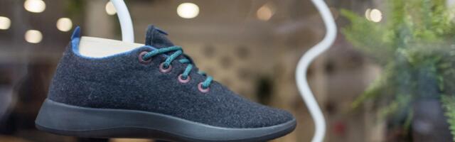 Allbirds is turning into an AI compute provider, because of course it is