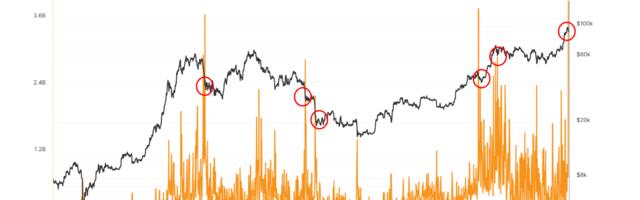 Short-Term Bitcoin Holders Have Moved Nearly $8B Worth of BTC to Exchanges, Signaling Price Bottom: Van Straten