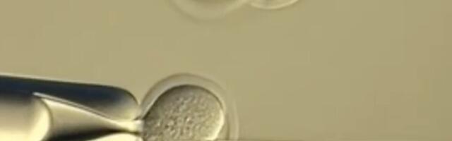 How Many Times Can You Clone a Clone? New Research Offers a Surprising Answer