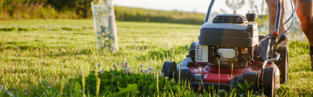 7 Good Reasons Why You Should Replace Your Gas-Powered Lawn Mower With An Electric One