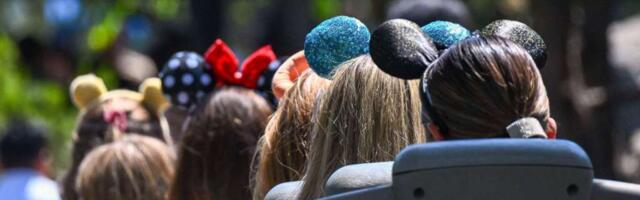 How to buy Disneyland lost and found items at ridiculously cheap prices