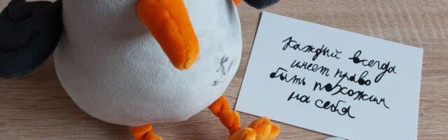 Everyone always has the right to be like themselves. Autism spectrum disorders and a career in IT: personal experience