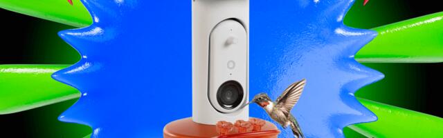 This Is the Best Smart Hummingbird Feeder I've Tested, and It's $50 off Right Now