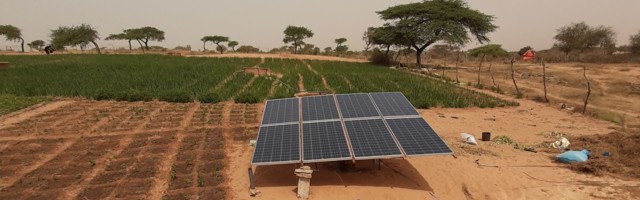 PEG Africa has emerged as the largest provider of financed solar water pumps in West Africa