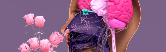 The science of smell is fragrant with submolecules