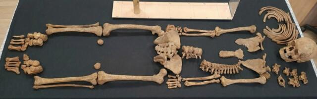 Высокие женщины и хрупкие мужчины: почему кости могут обманывать науку