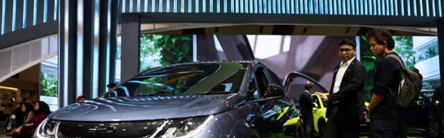 Everything rises and BYD capitalises on oil crisis