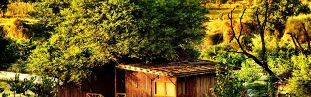 Booking.com Highlights Its Alternative Accommodation Strategy in India