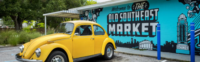 Why Are Volkswagen Beetles Called 'Slug Bugs?'