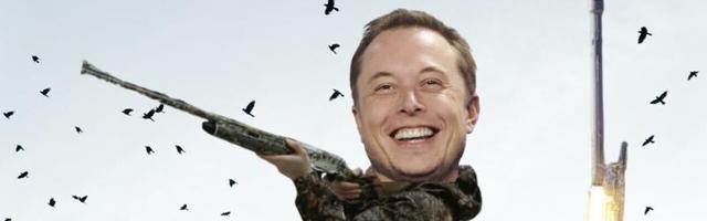 SpaceX’s success is built on the bones of tiny birds