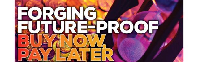Webinar Review: Forging Future-Proof Buy Now, Pay Later Offerings with Provenir, Klarna and Paywerk
