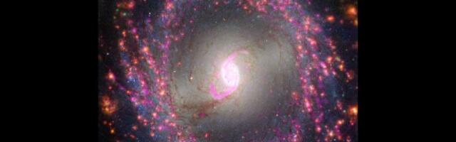 'AI tools could lead to nothing less than the death of astrophysics': Researchers predict bleak future for thousands who study black holes, galaxies, and supernovae