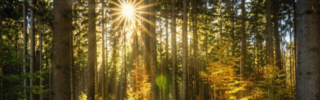 UK-based startup Verna secures additional funding to put nature tech in the spotlight