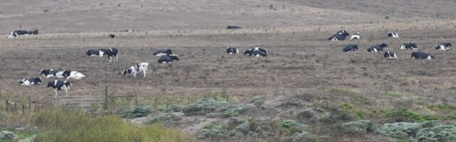 Point Reyes park litigants want residents excluded from talks