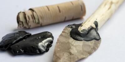 Never mind Band-Aids, Neanderthals had antiseptic birch tar